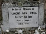 image of grave number 940525